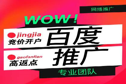 成功运用SEM服务实现品牌推广的案例分析